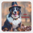 Search for thanksgiving pilgrim stickers Thankful