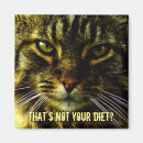 Search for funny diet magnets Animal