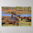 Search for wetland posters Animals