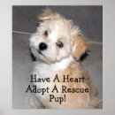 Search for rescues posters Animals