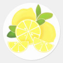 Search for fruit slices stickers Lemon
