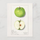 Search for apple green postcards Vintage