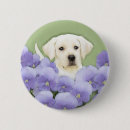 Search for labrador retriever badges Puppy