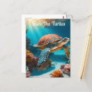 Search for sea turtle art postcards Marine