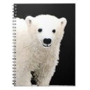 Search for polar bear notebooks Snow