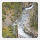 Search for aspen trees stickers Environment