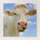 Search for funny cow gifts Animals