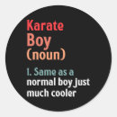 Search for karate sports stickers Martial arts