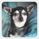 Search for cute chihuahua stickers Dog rescue