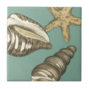 Search for starfish tiles Conch
