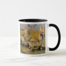 Search for red fox mugs Baby