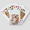 Search for cat playing cards Pet
