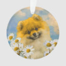 Search for origin pet supplies Puppy