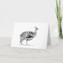Search for guinea fowl Africa