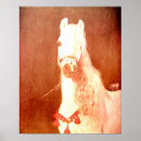 Search for gypsy posters Bohemian