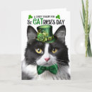 Search for cat st patricks day cards Shamrocks