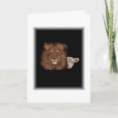 Search for lion and lamb Wildlife