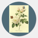 Search for redoute stickers Flower