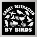 Search for birder posters Bird watching