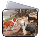 Search for herding dog cases Animals