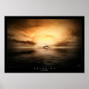 Search for dolphin posters Sunset