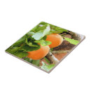 Search for plums tiles Fruit