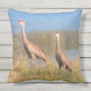 Search for grus canadensis Cranes