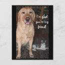 Search for dog friend postcards Humour