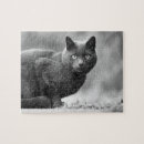 Search for black and white cat puzzles Kitten
