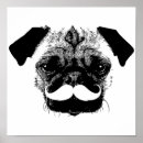 Search for boss dog posters Pug