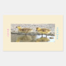 Search for gosling stickers Baby shower