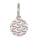 Search for dachshund dog tags Cute