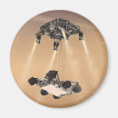 Search for rover magnets Engineering