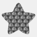 Search for weeping willow stickers Branches