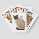 Search for cat playing cards Pet
