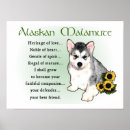 Search for malamute posters Puppy