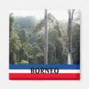 Search for borneo magnets Rainforest