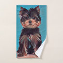 Search for terrior Yorkie