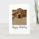 Search for baseball cap cards Funny