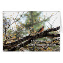 Search for birds singing cards Encouragement