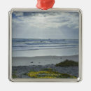 Search for spain christmas tree decorations Nature