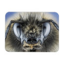 Search for antennae magnets Compound eyes