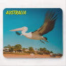Search for bird flight electronics Photography