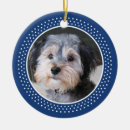 Search for frame christmas tree decorations Dog