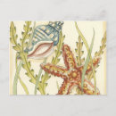 Search for conch invitations Seashell