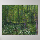 Search for undergrowth Landscape