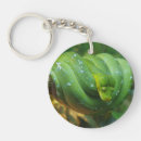 Search for pythons key rings Animal