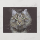 Search for pet announcement postcards Cat