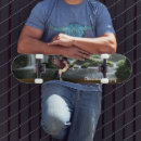 Search for pegasus skateboards Winged horse