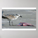 Search for buffet posters Nature